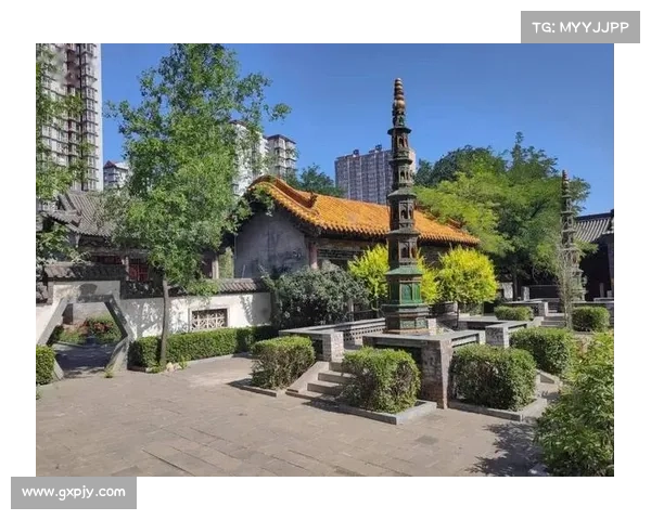 恩施州博物馆排球少年文化体验基地：探寻青春运动与地方文化的深度融合